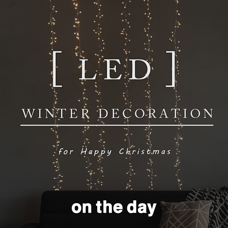 LED Decoration for Christmas