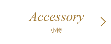 ACCESSORY