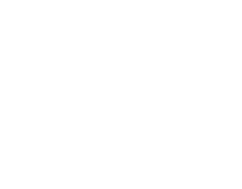 スタイリング