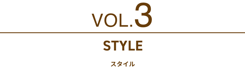 Vol 3. STYLE